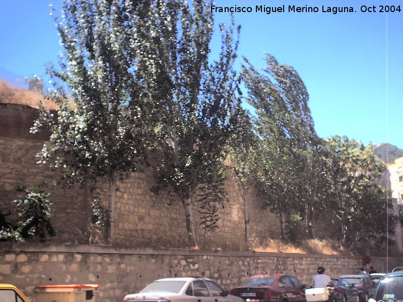 Muralla de Jan. Lienzo desaparecido en Milln de Priego - Muralla de Jan. Lienzo desaparecido en Milln de Priego. 