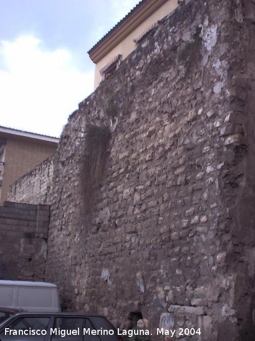 Muralla de Jan. Lienzo II de la Carrera de Jess - Muralla de Jan. Lienzo II de la Carrera de Jess. Lienzo sin reconstruir