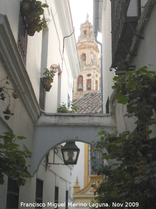 Calleja de las Flores - Calleja de las Flores. 