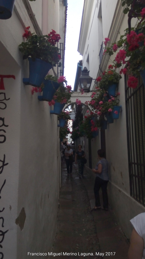 Calleja de las Flores - Calleja de las Flores. 