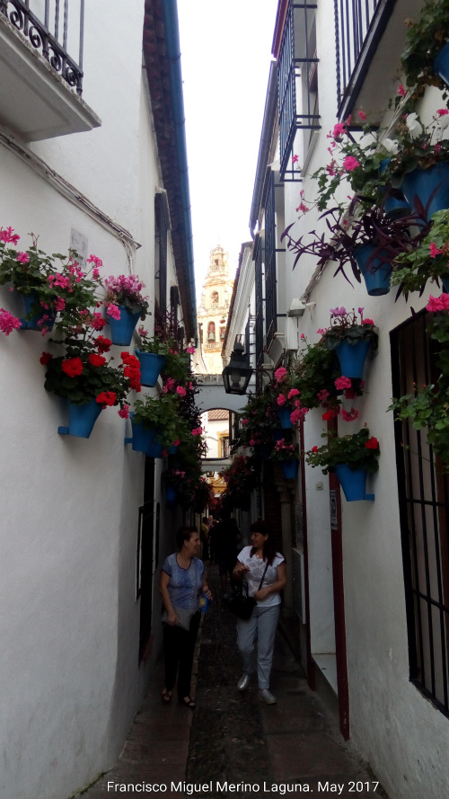 Calleja de las Flores - Calleja de las Flores. 