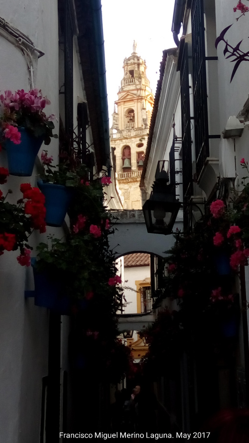 Calleja de las Flores - Calleja de las Flores. 