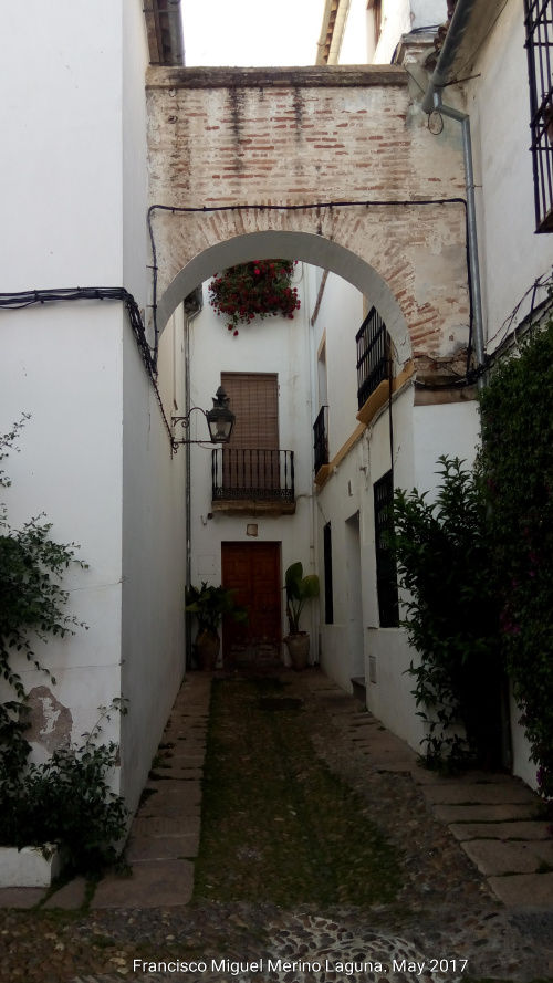 Calleja de las Flores - Calleja de las Flores. Arco de ladrillo