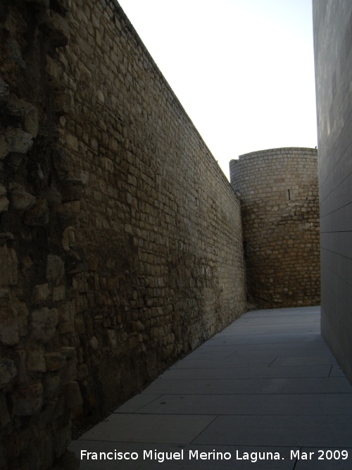 Muralla de Jan. Lienzo del Molino de la Condesa - Muralla de Jan. Lienzo del Molino de la Condesa. Extramuros despus de la construccin del teatro