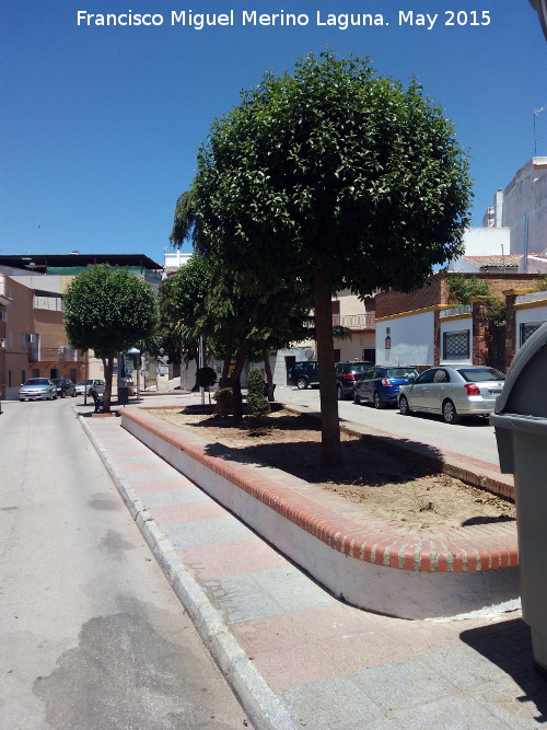 Plaza de Espaa - Plaza de Espaa. 