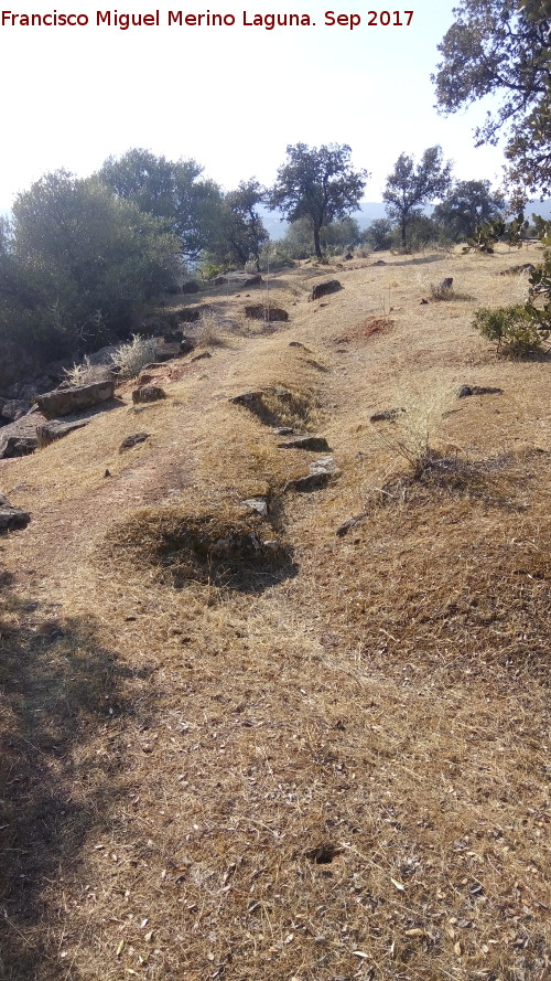 Trincheras del Cerro de las Trincheras - Trincheras del Cerro de las Trincheras. 