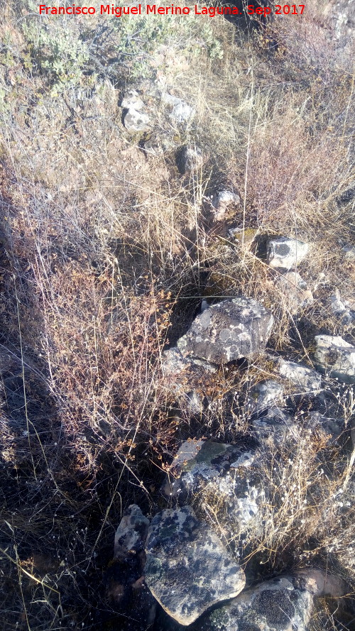 Trincheras del Cerro de las Trincheras - Trincheras del Cerro de las Trincheras. 