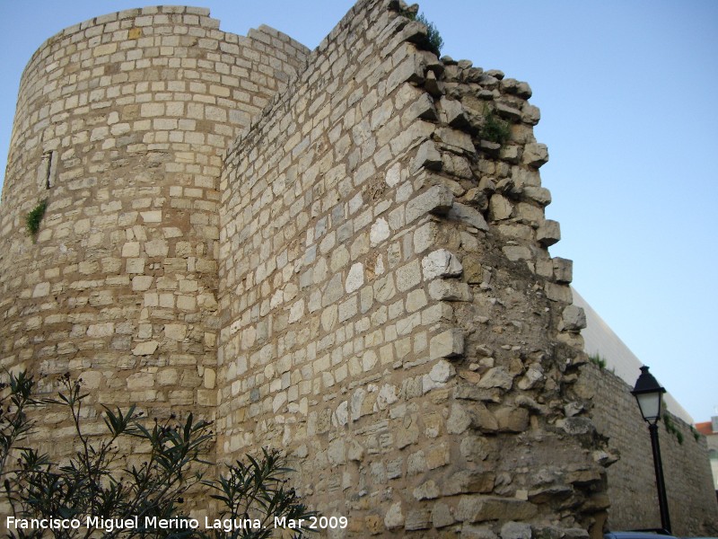 Muralla de Jan. Lienzo de la Carretera de Crdoba - Muralla de Jan. Lienzo de la Carretera de Crdoba. 