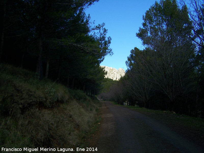 Camino del Pico Jabalcuz - Camino del Pico Jabalcuz. 