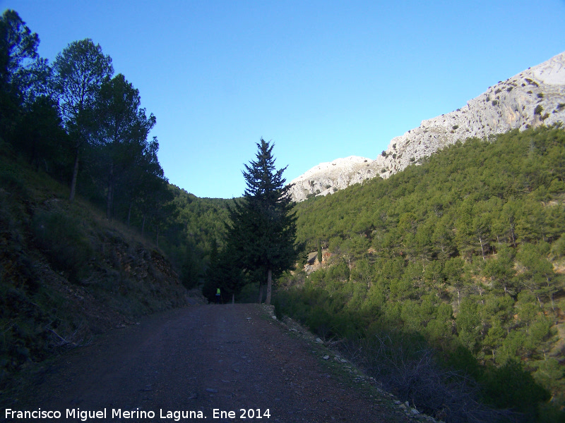 Camino del Pico Jabalcuz - Camino del Pico Jabalcuz. 