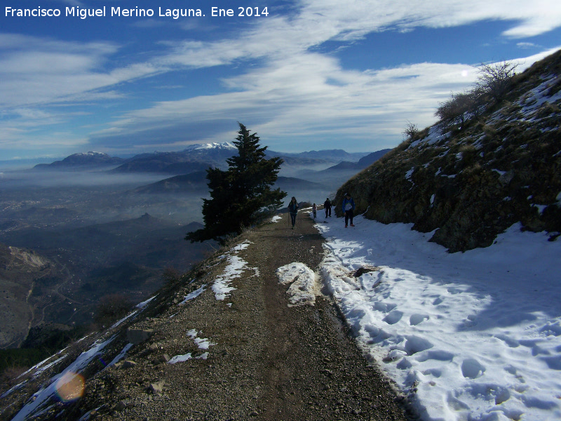 Camino del Pico Jabalcuz - Camino del Pico Jabalcuz. 