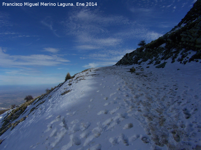 Camino del Pico Jabalcuz - Camino del Pico Jabalcuz. 