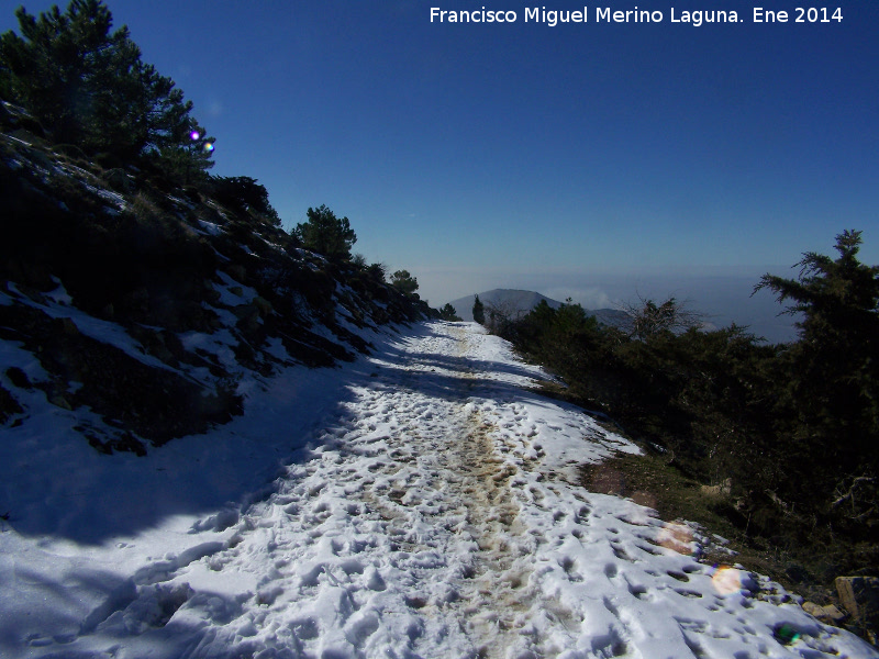 Camino del Pico Jabalcuz - Camino del Pico Jabalcuz. 