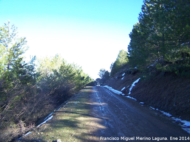 Camino del Pico Jabalcuz - Camino del Pico Jabalcuz. 