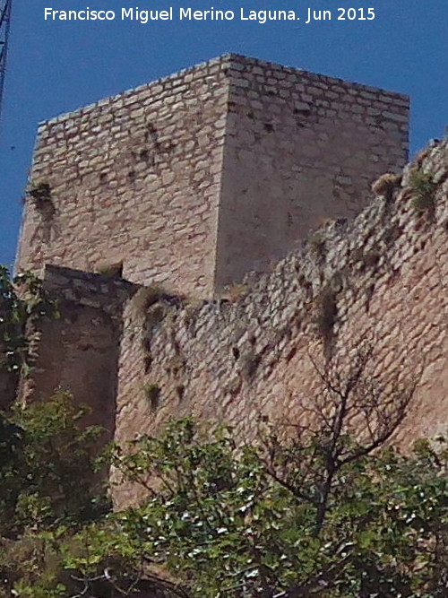 Muralla de Jan. Torren de Vendrines - Muralla de Jan. Torren de Vendrines. Intramuros