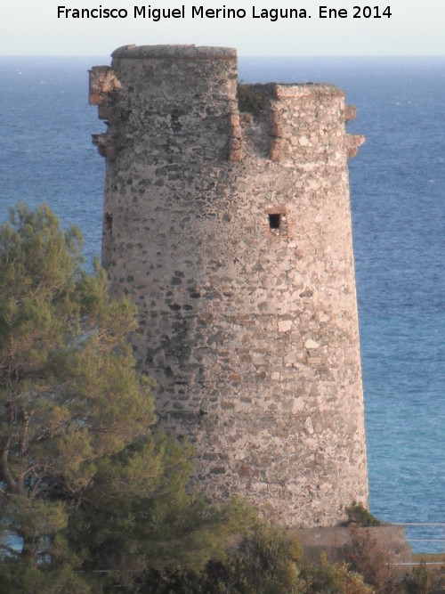 Torre del Pino - Torre del Pino. 