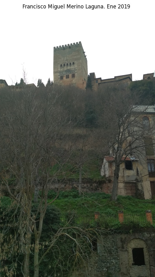 Hotel del Reuma - Hotel del Reuma. Vistas de la Alhambra