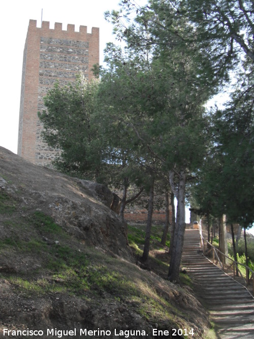 Alcazaba - Alcazaba. 