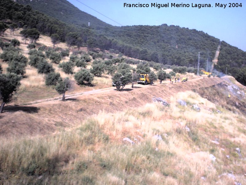 Oppidum del Cerro de Santa Catalina - Oppidum del Cerro de Santa Catalina. Se aprecia la insinuacin de la muralla por debajo del carril donde estn los bomberos