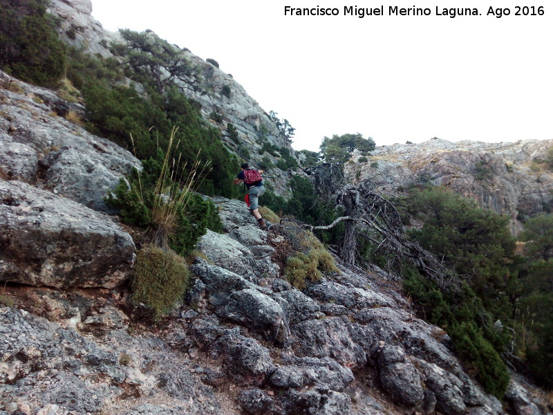 Blanquillo - Blanquillo. Laderas