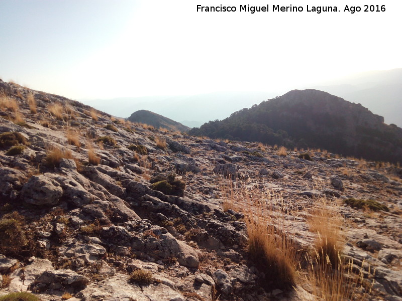 Blanquillo - Blanquillo. Vistas hacia el Alto de Pedro Miguel