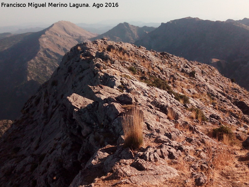 Blanquillo - Blanquillo. Cumbre