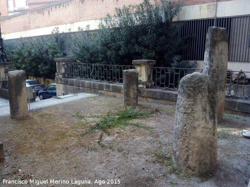 Museo Provincial - Museo Provincial. Columnas en la lonja