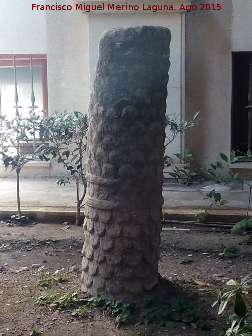 Museo Provincial - Museo Provincial. Columna de tronco de palmera en la lonja