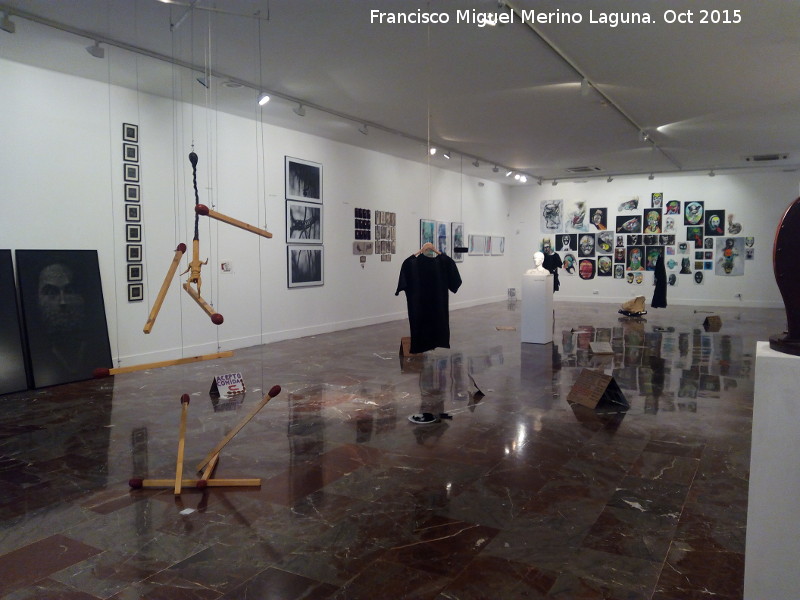 Museo Provincial - Museo Provincial. Sala de exposicin temporal