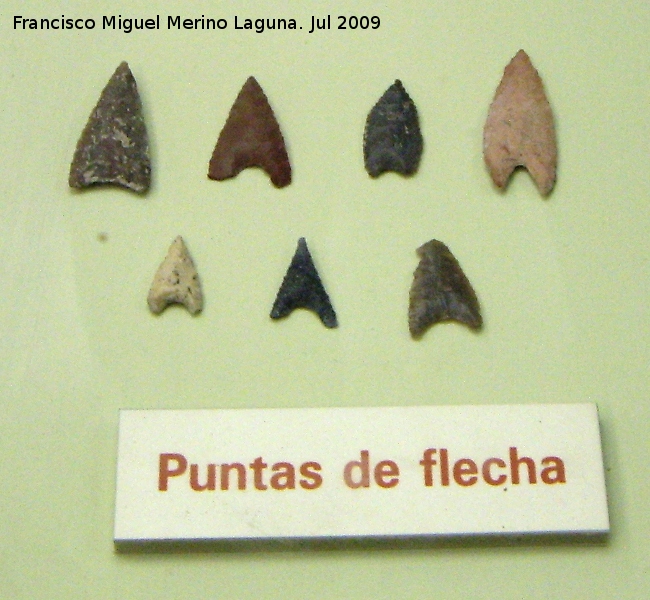 Museo Provincial - Museo Provincial. Puntas de flecha