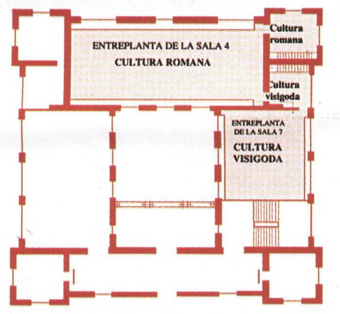 Museo Provincial - Museo Provincial. Semiplanta