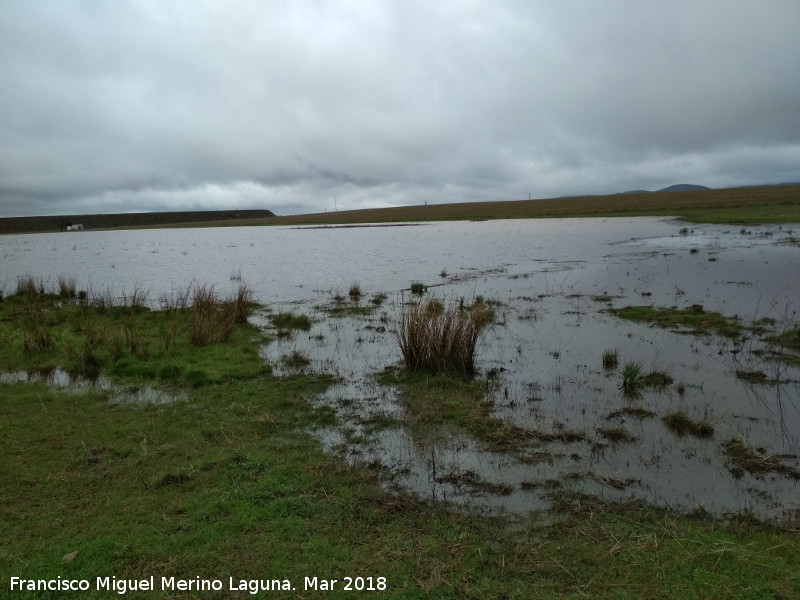 Laguna de los Perales - Laguna de los Perales. 