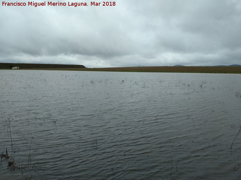 Laguna de los Perales - Laguna de los Perales. 