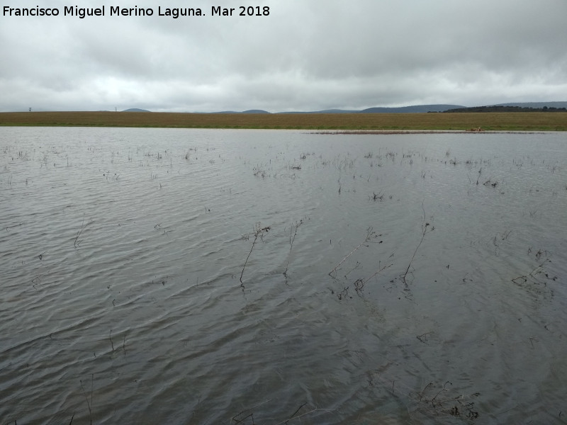 Laguna de los Perales - Laguna de los Perales. 