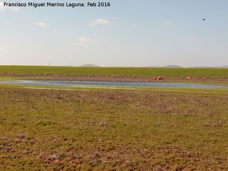 Laguna de los Perales - Laguna de los Perales. En sequa