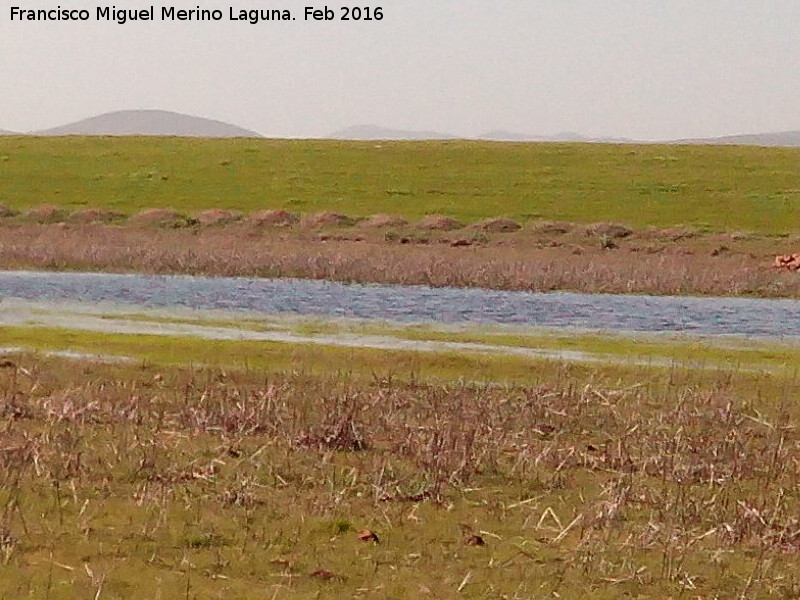 Laguna de los Perales - Laguna de los Perales. En sequa