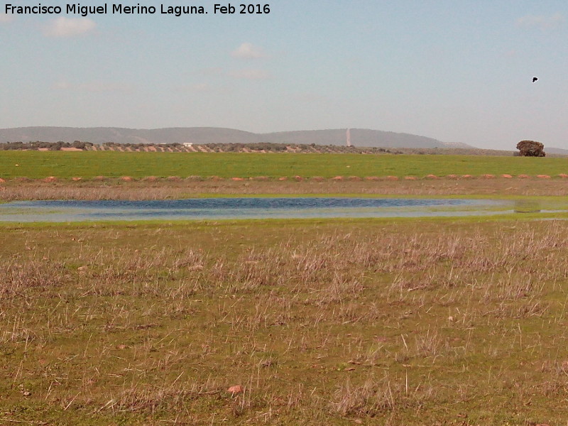 Laguna de los Perales - Laguna de los Perales. En sequa