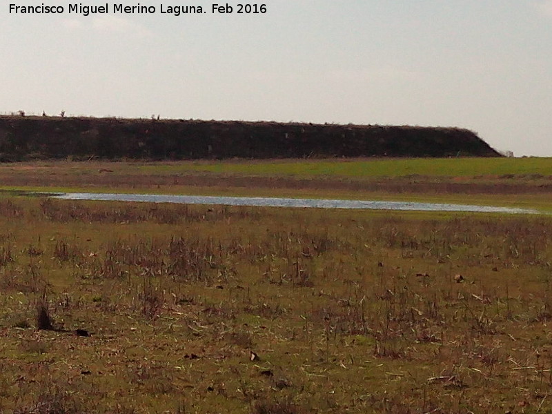 Laguna de los Perales - Laguna de los Perales. En sequa