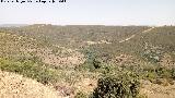 Mirador del Valle. Vistas hacia la Mina de la Central