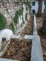 Pilar de Mata Bejid
