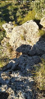 Necr�polis del Banco. Altura