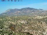 Pico de la Laguna. Desde Ruicerezo