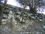 Oppidum de los Ayozos. Muralla