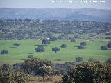 Mancha de Enmedio. 