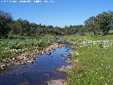 Arroyo del Campillo. 