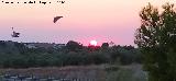 Sol. Los Molinas - Ja�n