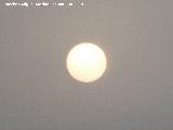 Sol. Con calima. Dehesa Boyal - La Guardia