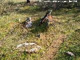 Necrpolis dolmnica del Guadaln. Dolmen?