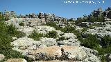 Torcal de Antequera. 