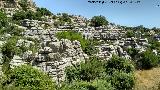 Torcal de Antequera. 